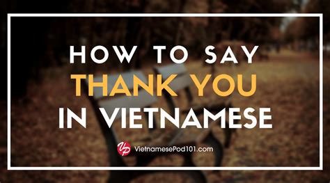 How To Say I Love You In Vietnamese Romantic Word List