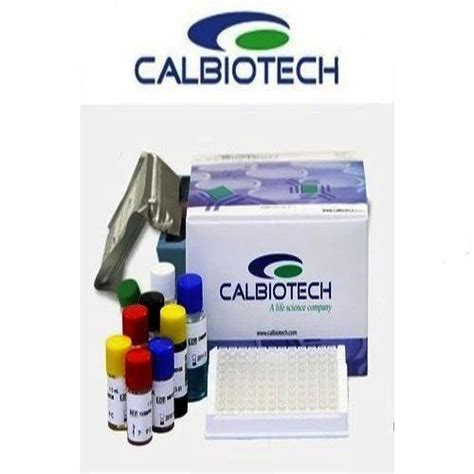 Calbiotech DsDNA IgG Elisa Kit At Best Price In Ahmedabad By Ank Cares