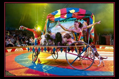 Travel circus in Florida. Circus performers for hire in Orlando