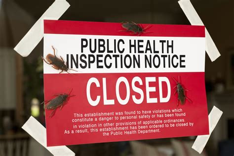 Top Pests In Restaurants Common Food Pests Pest Control Solutions