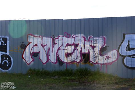 ANEMAL FOREVER Endless Canvas Bay Area Graffiti And Street Art