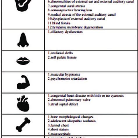 Diseases Related To 18q Deletion Syndrome In Certain Systems Or Download Scientific Diagram