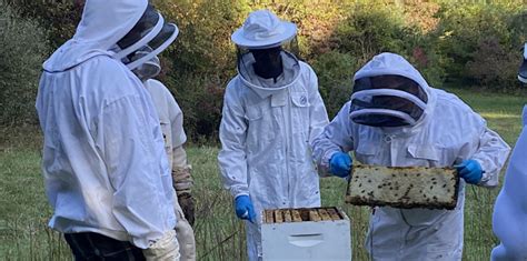 CSU And RA Beekeeping Series Beekeeping With Varroa Mites WOUB