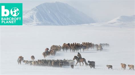 Extreme Living Inside Mongolian Nomads Gruelling Spring Migration