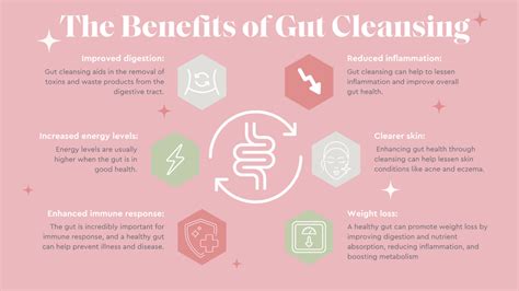 The Ultimate Guide To Gut Cleansing Jess Wilson