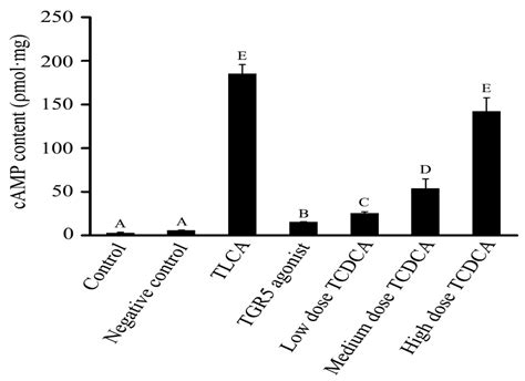 Molecules Free Full Text Taurochenodeoxycholic Acid Increases Camp Content Via Specially