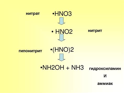Обнаружение нитратов в овощах и фруктах - презентация онлайн