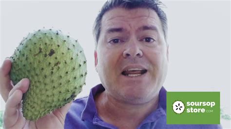 How To Know When Soursop Fruit Is Ripe And When To Cut It Youtube