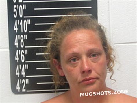 Nicole Leigh Cardwell Stone County Mugshots Zone