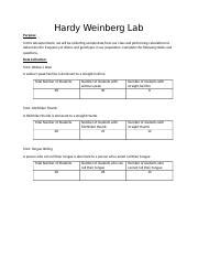 Answer Key Classroom Data Hardy Weinberg Lab Docx Hardy Weinberg Lab