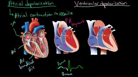 Heart Electrical Conduction System Animation Ecg Cardiac Conduction System Nursing – Otosection