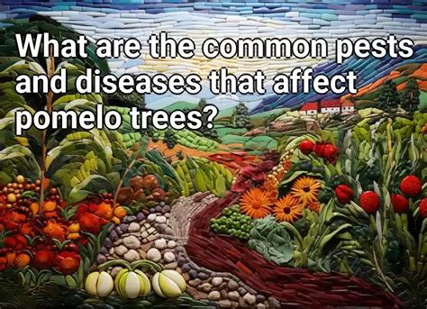 What Are The Common Pests And Diseases That Affect Pomelo Trees Agriculture Gov Capital