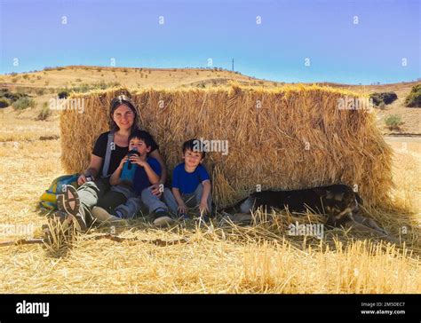 Madre Con Los Ni Os Y El Perro Detr S De La Paja Que Protege Del Tiempo