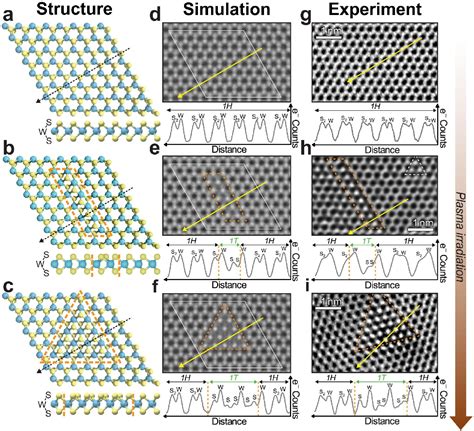 PDF Emergence Of New Optical Resonances In Single Layer Transition