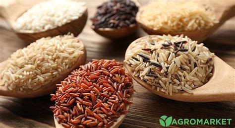 Как правильно выбрать рис для разных блюд – Agro-Market