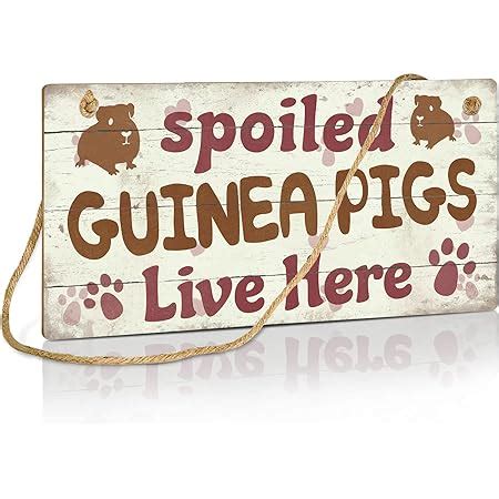 Amazon Meijiafei Life Is Good But Guinea Pigs Make It Better