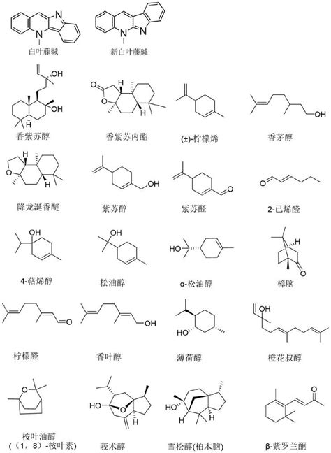 Application Of Composition Containing Cryptolepine Analogue And Small