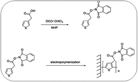 Illustrating The Synthesis Of Poly Thiophen Yl Acetic Acid