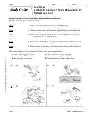 Evolution By Natural Selection Assignment Doc Name Date Class CHAPTER