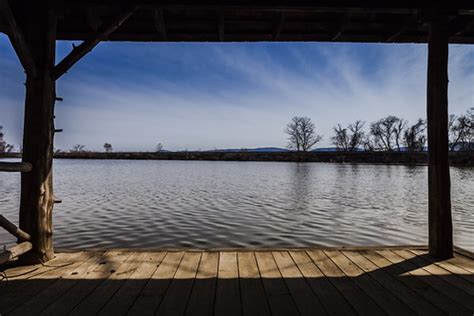 From The Dock Billie Grace Ward Flickr