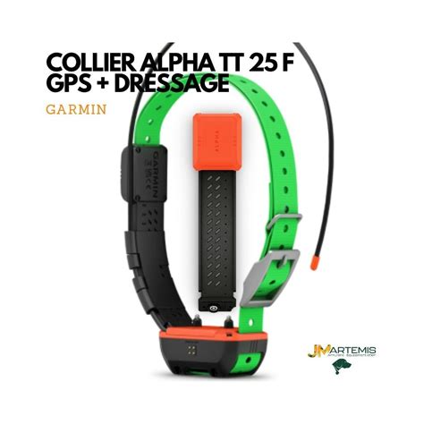 Pack Alpha F Collier Garmin Tt F Reperage Et Dressage