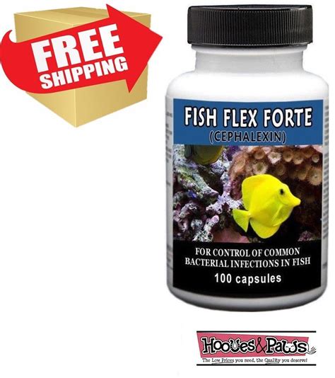 Fish Flex Forte Cephalexin Keflex 500 Mg 100 Ct Pharmacy Grade Fish