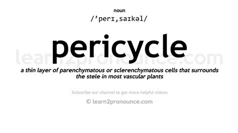 Pronunciation of Pericycle | Definition of Pericycle - YouTube