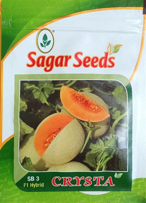 Buy Crysta F Hybrid Muskmelon Sagar Seeds Online From Modern Jamindar