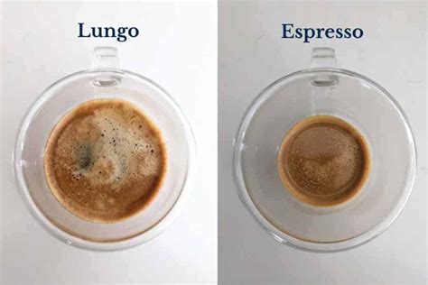 Lungo vs Espresso: A 5-Minute Explainer