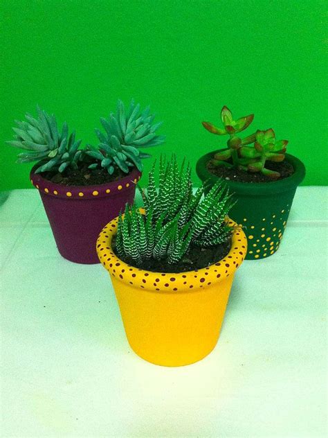 S O Plantas Que Armazenam Gua Em Suas Folhas Da O Nome Suculenta