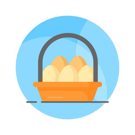 40 Raw Eggs In Basket Stock Illustrations Royalty Free Vector