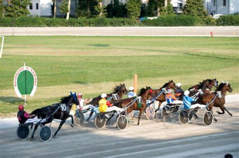 Corse Cavalli Ravenna Ippodromo Candiano Trotto RA Corse Cavalli