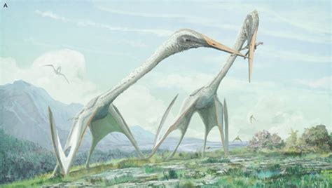 Terrifying Pterosaurs Just Got More Terrible