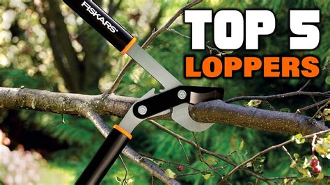 Best Lopper Reviews 2024 Best Budget Loppers Buying Guide Youtube