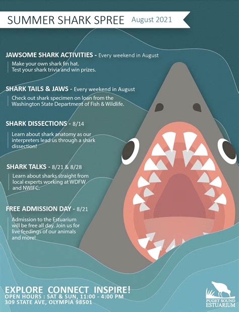 Summer Shark Spree - Puget Sound Estuarium