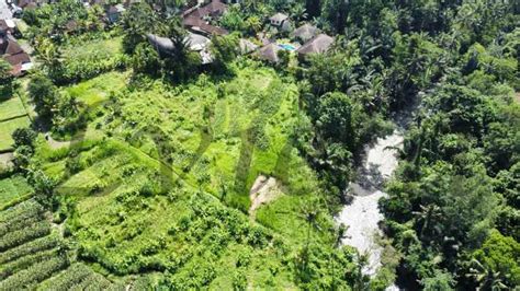 Tanah View Lembah Los Sungai Bongkasa Abiansemal Badung