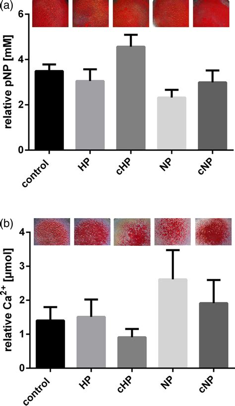 A Colorimetrically Quantified Alkaline Phosphatase Activity Alp As