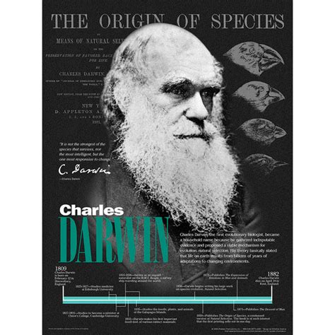 Charles Darwin Poster Tech Directions Books And Media