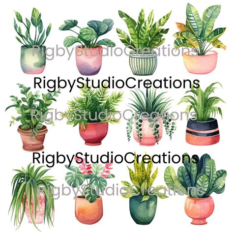 Watercolor House Plants Clip Art Digital Download High Quality Etsy