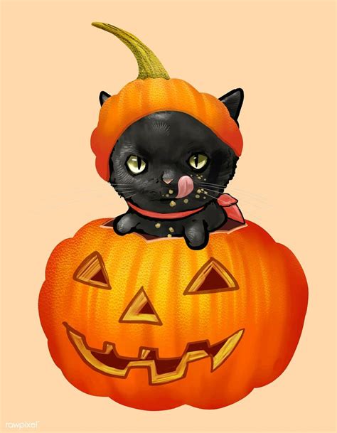 Illustration Of A Black Cat In Pumpkin Icon Vector For Halloween Free Image By