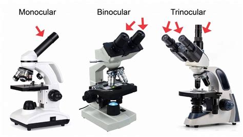 Microscópio Monocular Binocular E Trinocular Saiba Quais São As Diferenças