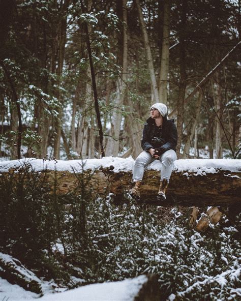 Free Images Tree Forest Snow Winter Trunk Ice Sitting Weather