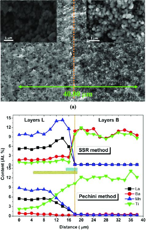 (a) Cross-sectional SEM image of B layers (right) and L layers (left ... 