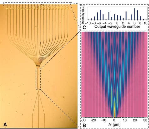 Quantum Walks Of Correlated Photons Science