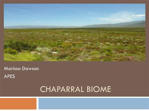 PPT - Chaparral Biome PowerPoint Presentation, free download - ID:2282620