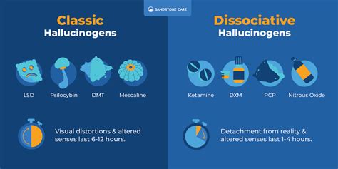 Types Of Hallucinogens