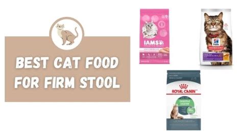 The Best Cat Food Of According To Cat Parents Like You Bechewy