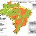 Classificação de Jurandyr Ross Trabalho de Geografia