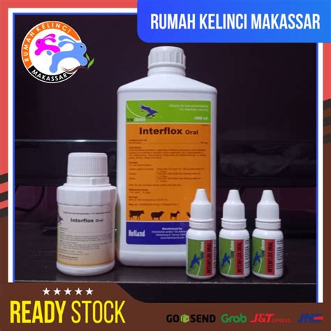 Jual Interflox Ml Obat Infeksi Pernapasan Hewan Kucing Kelinci Anjing