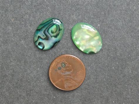 Pack X Mm Natural Paua Shell Cabochons Dyed Coated Seashell